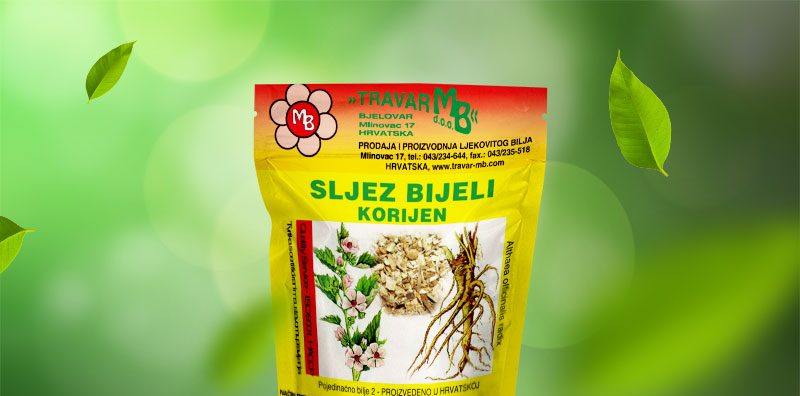 SLJEZ BIJELI KORIJEN